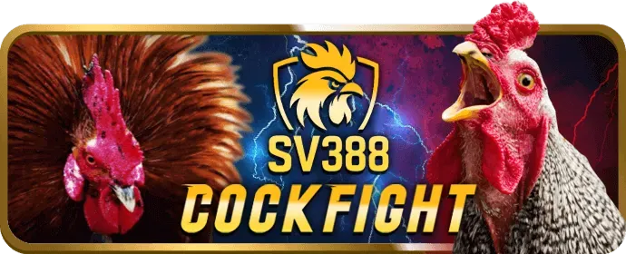 Cá cược thể thao BOT88